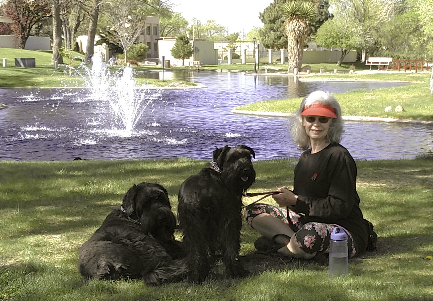 Pets-Home Euthanasia